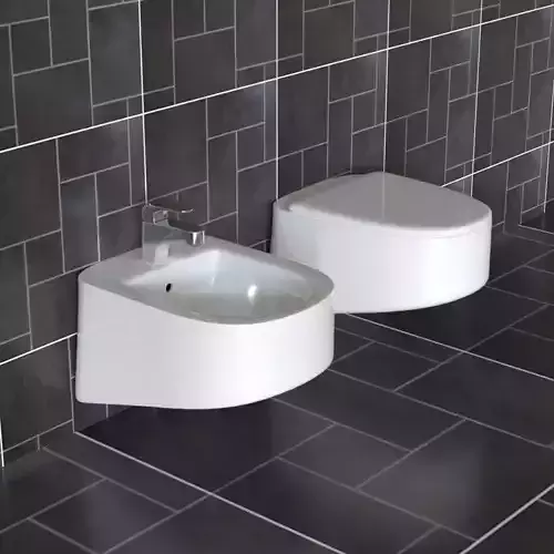 Water Closet and Bidet