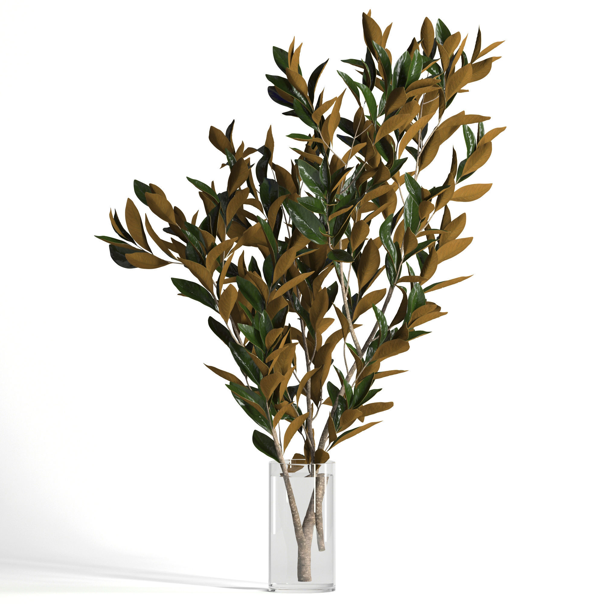 Magnolia branches 3D model_5