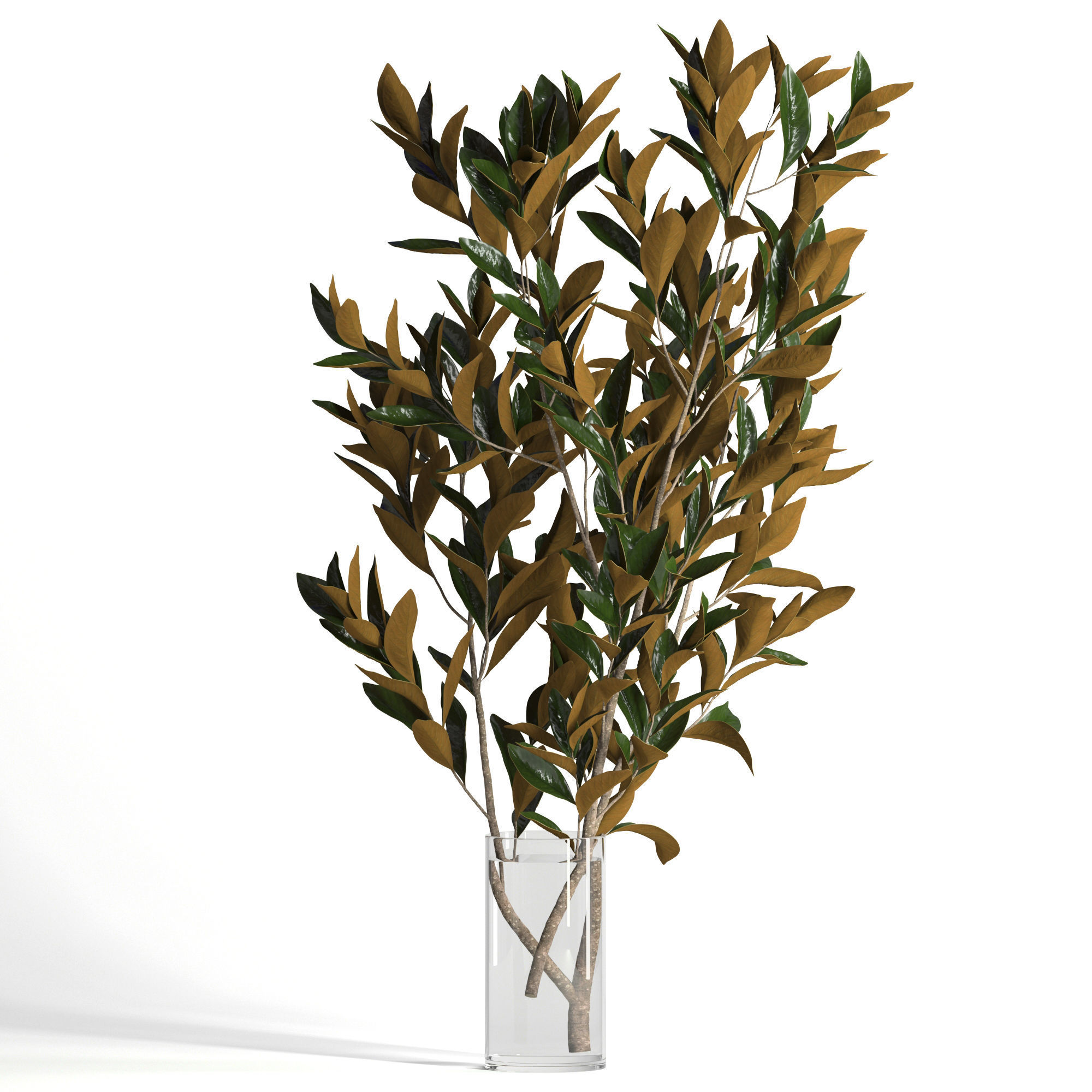 Magnolia branches 3D model_4