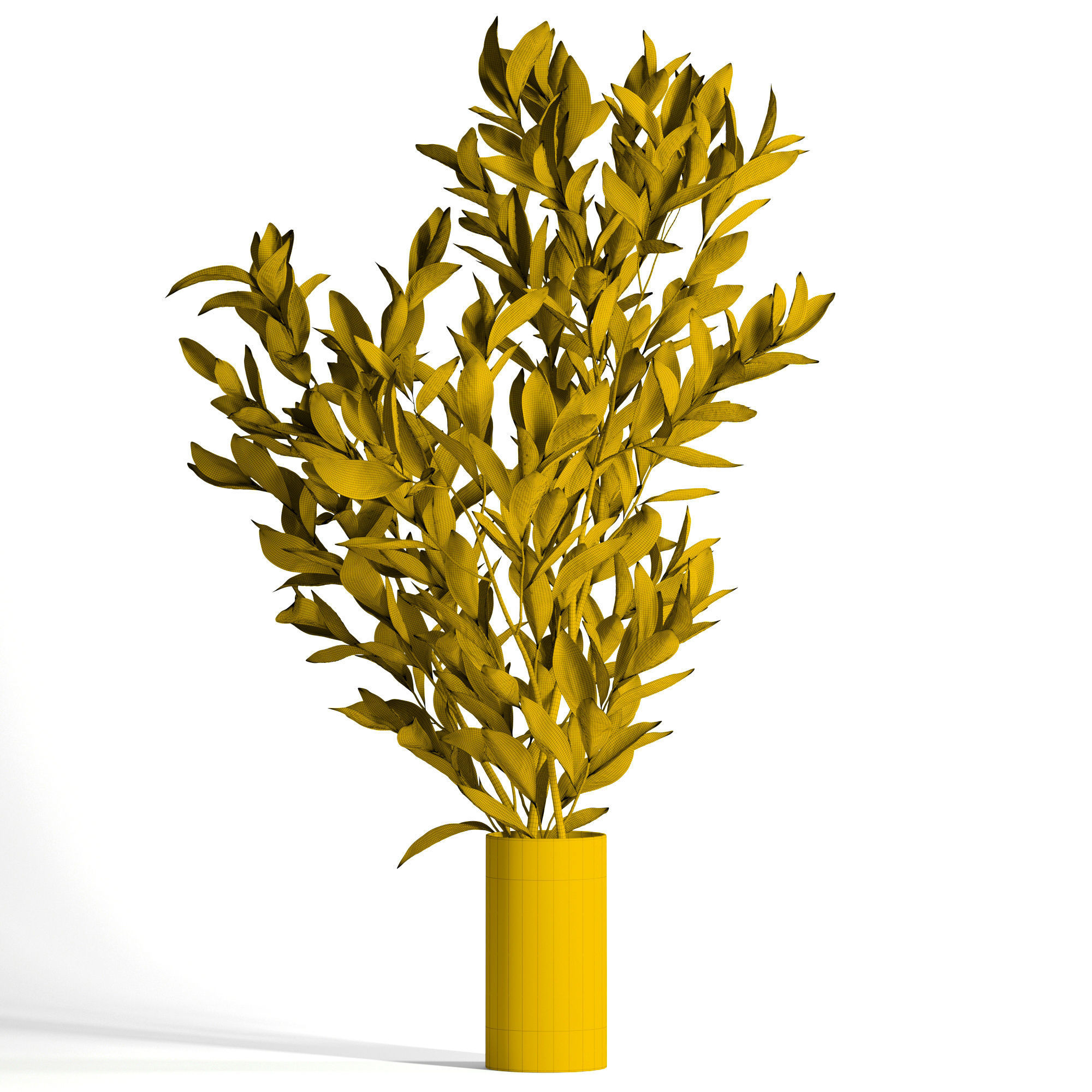 Magnolia branches 3D model_7