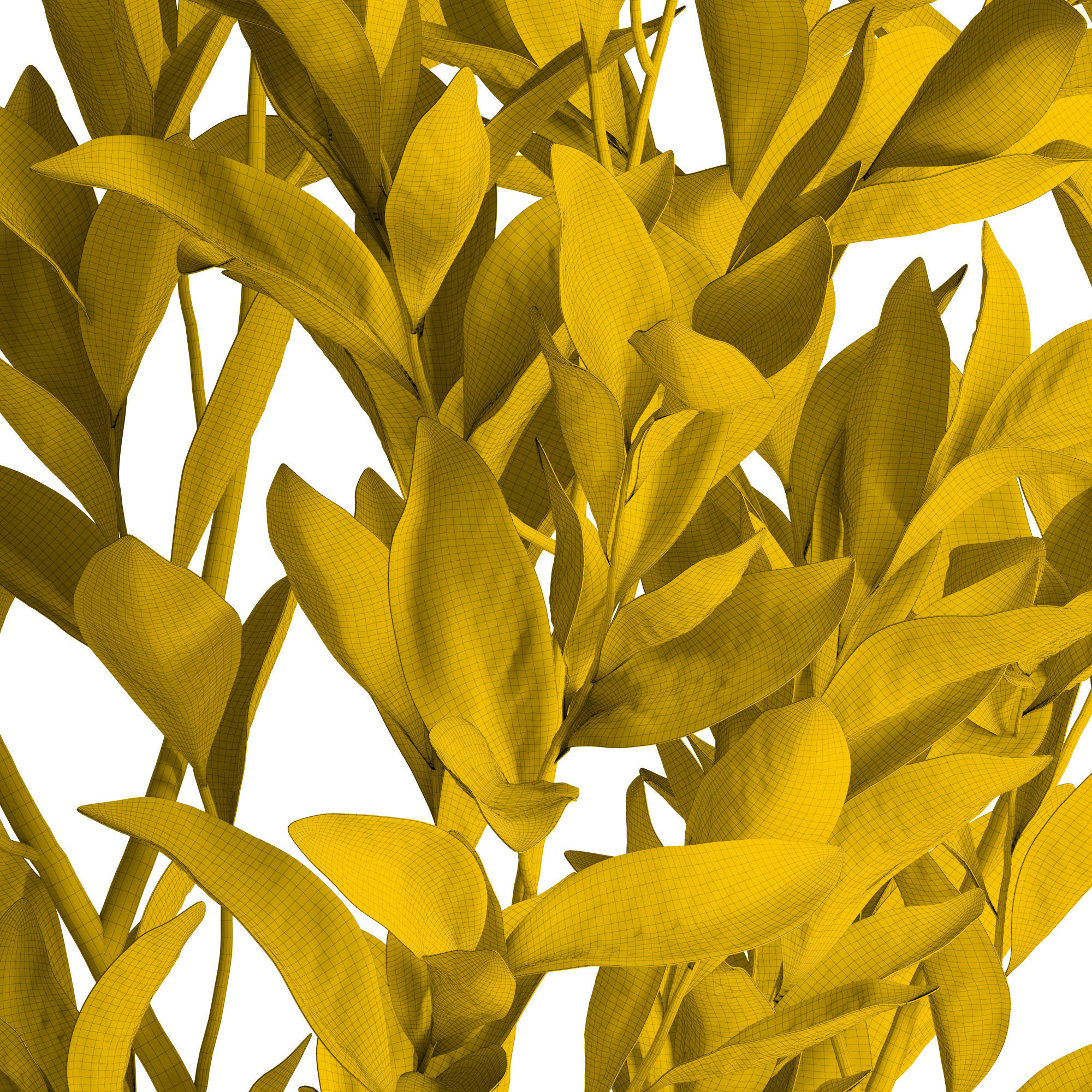 Magnolia branches 3D model_8