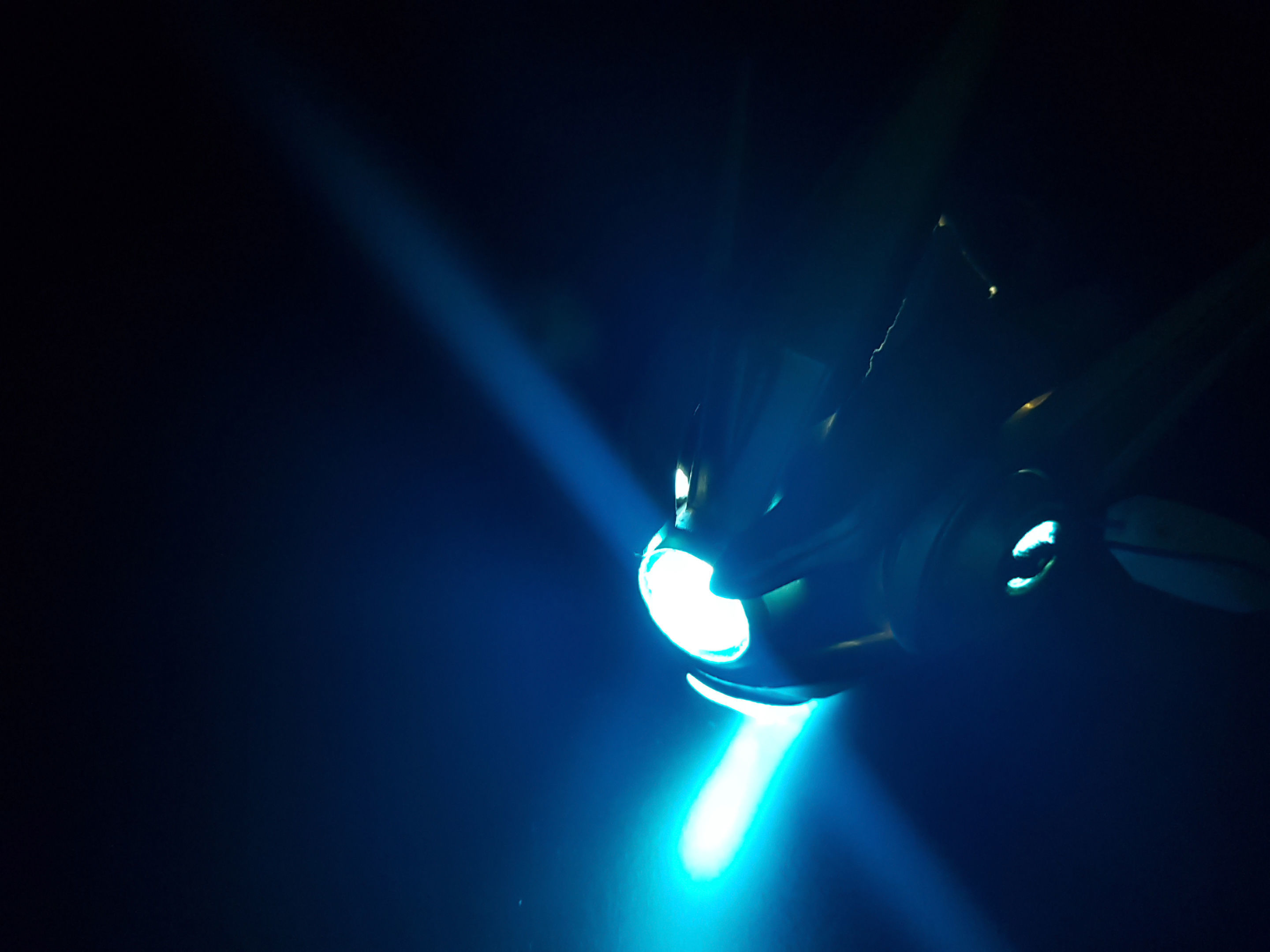 Starcraft Probe 3D print model_21