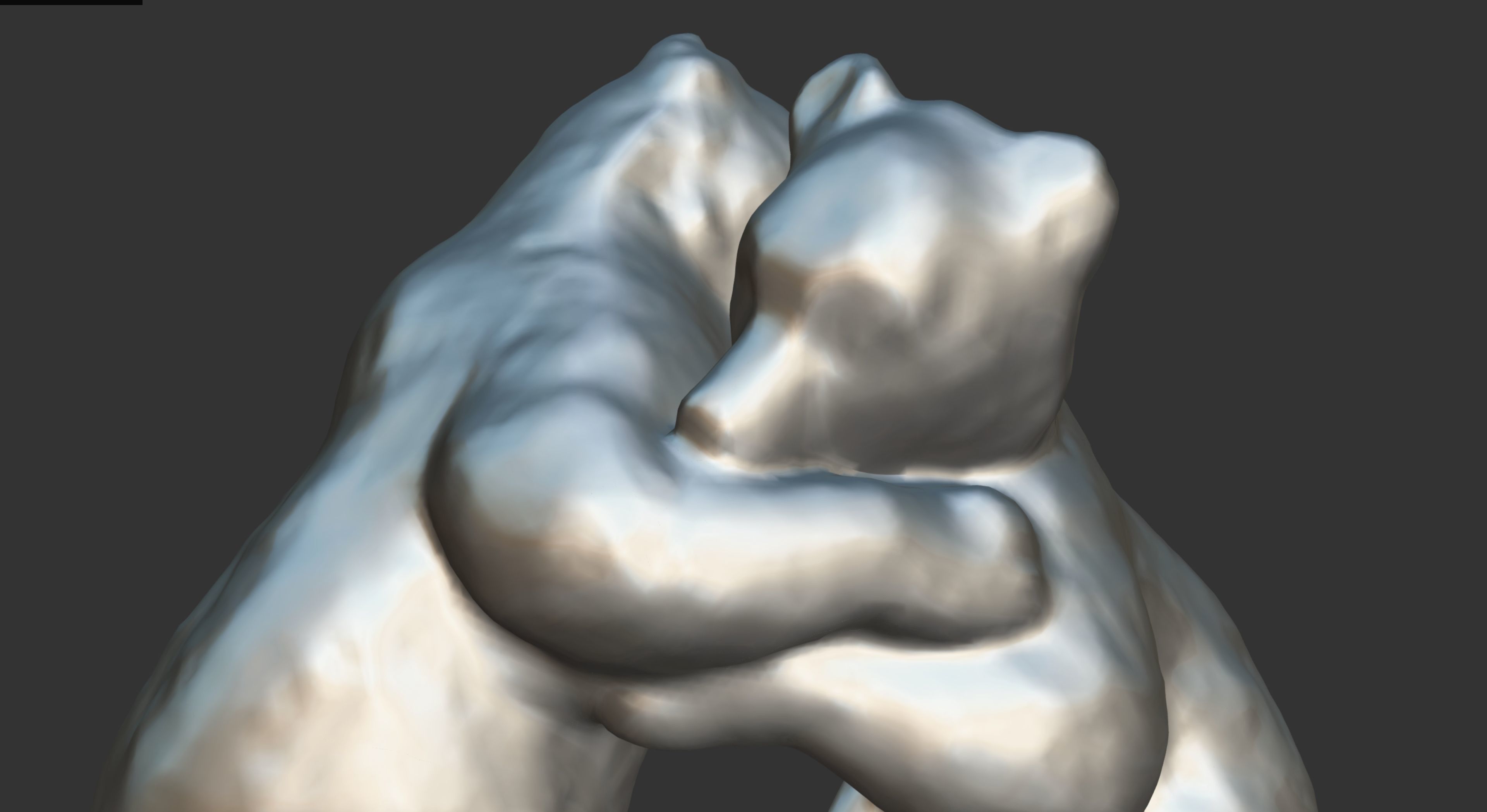 White Bears 3D model_34