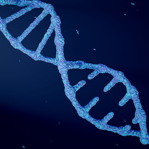 Animated DNA model 3D model