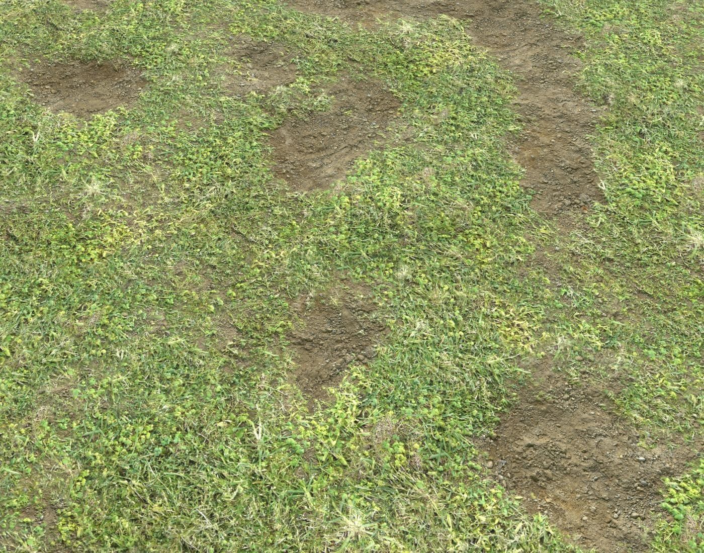 Grass terrain pack 3 Texture_10