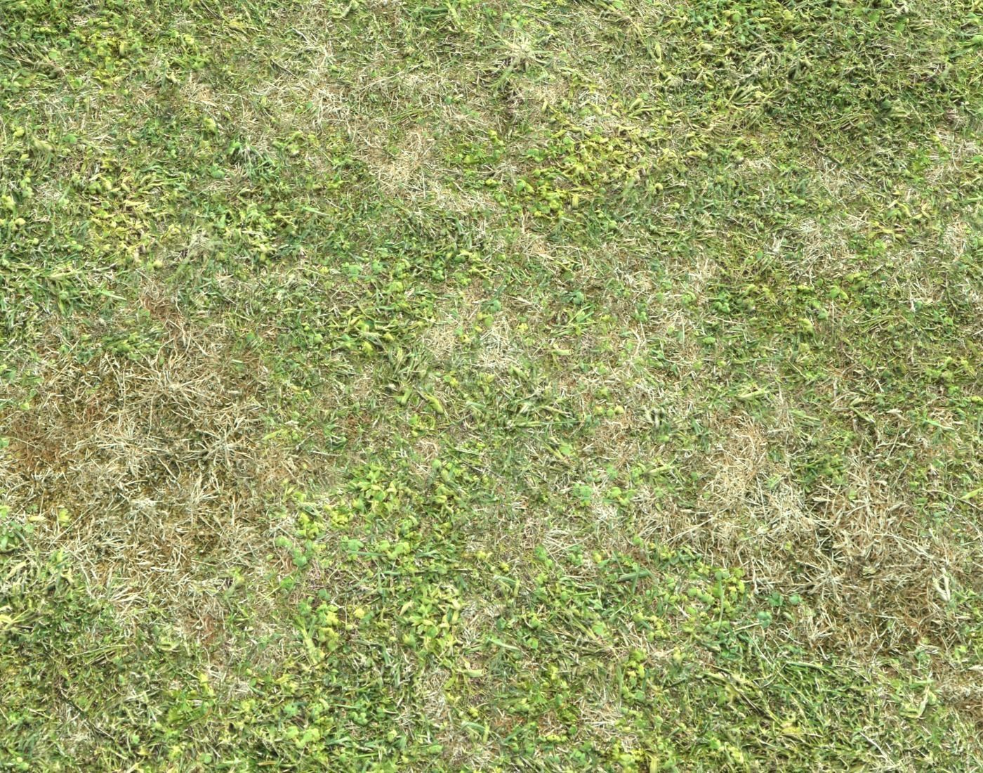 Grass terrain pack 3 Texture_5