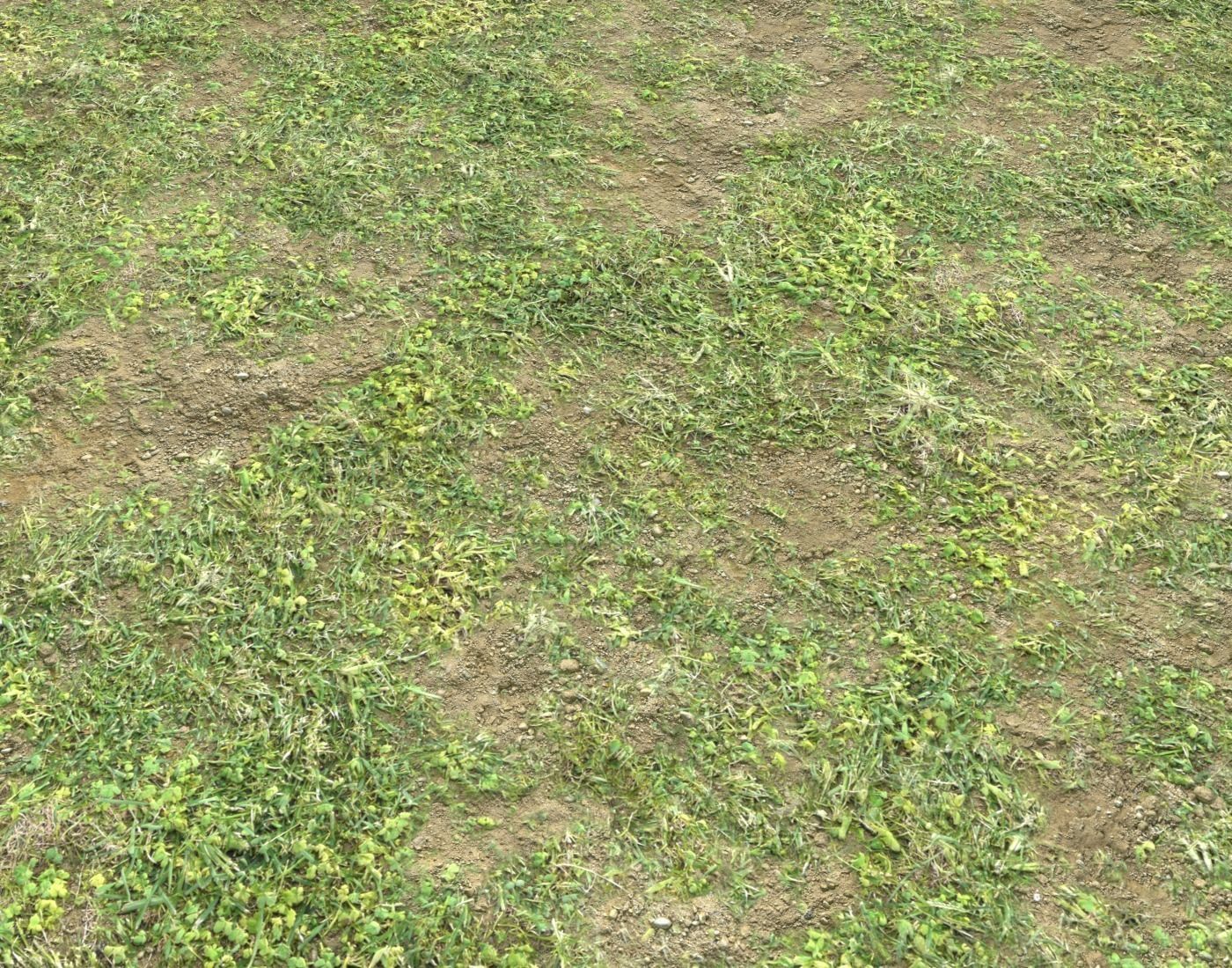 Grass terrain pack 3 Texture_13