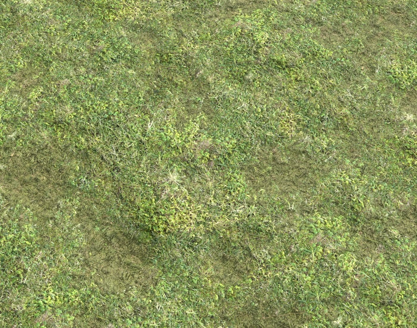 Grass terrain pack 3 Texture_14