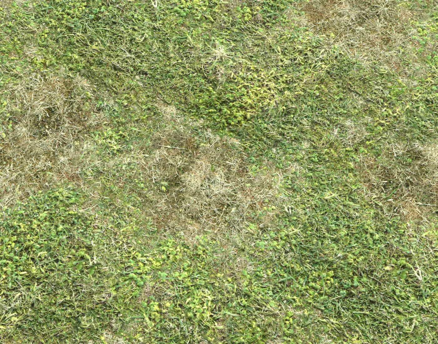 Grass terrain pack 3 Texture_0