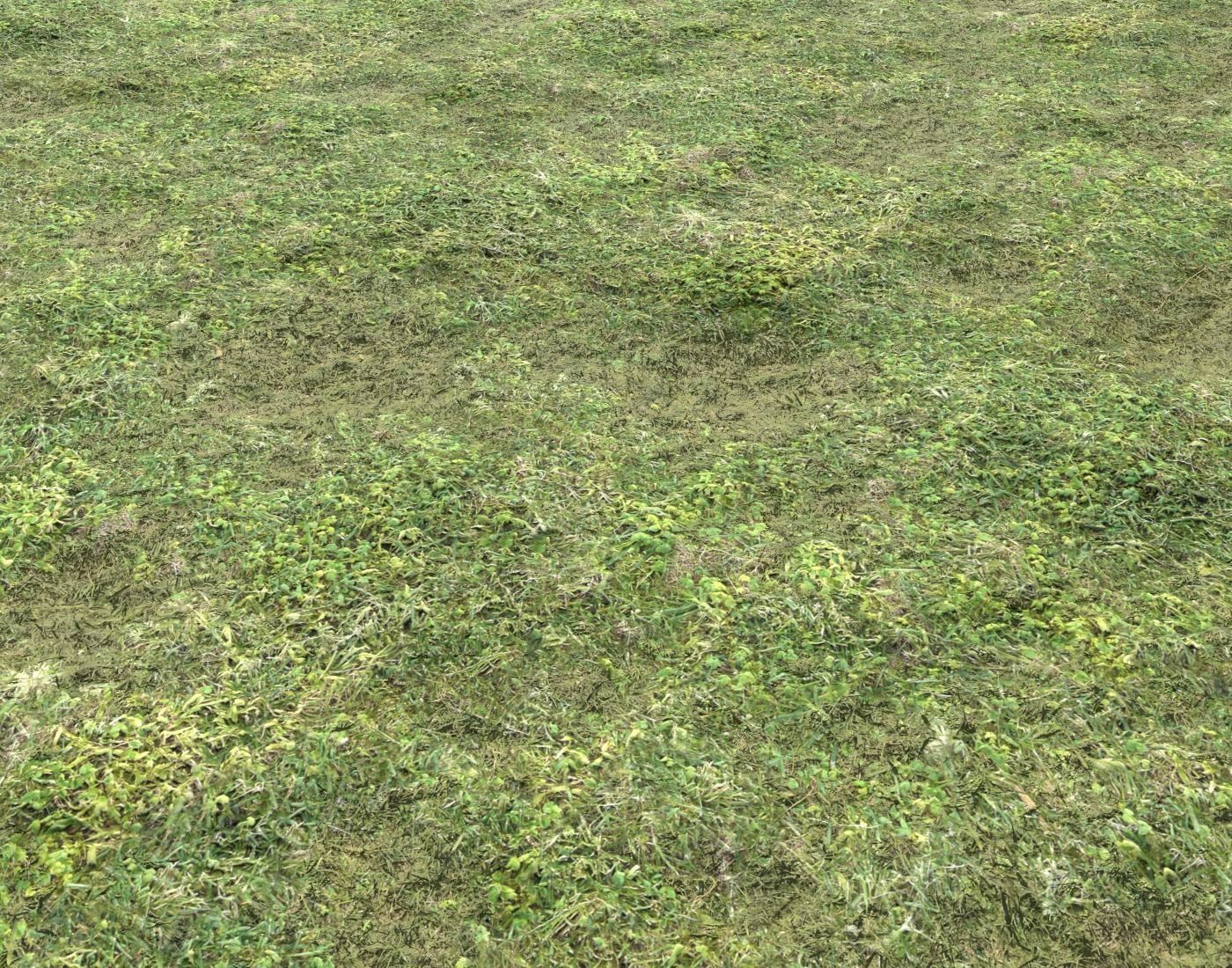 Grass terrain pack 3 Texture_15