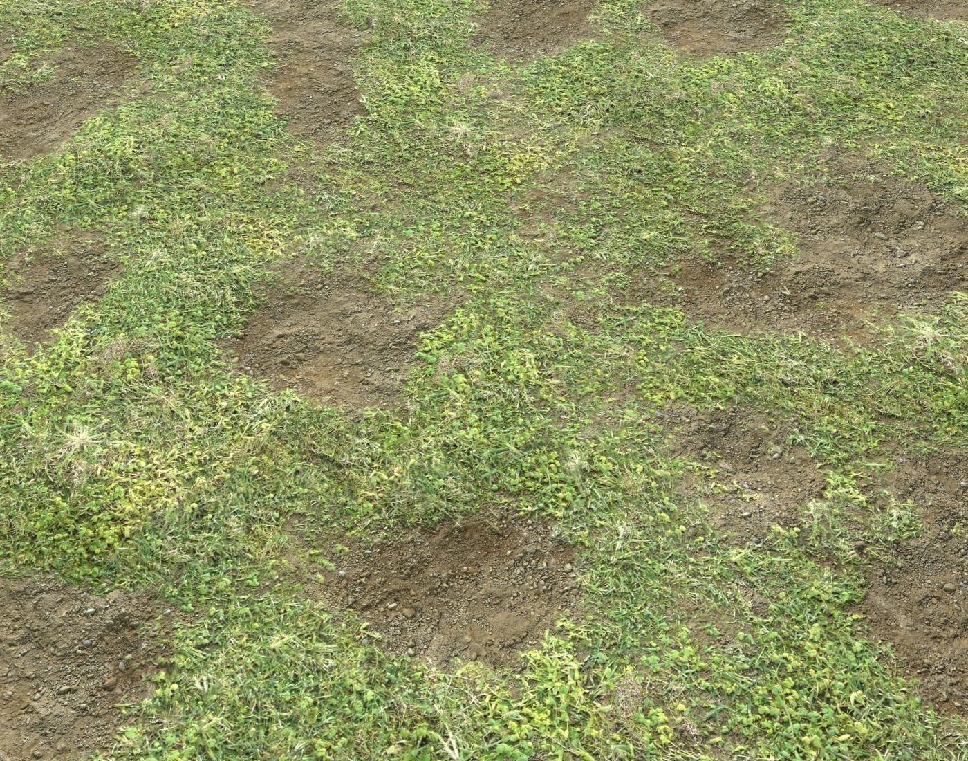 Grass terrain pack 3 Texture_7