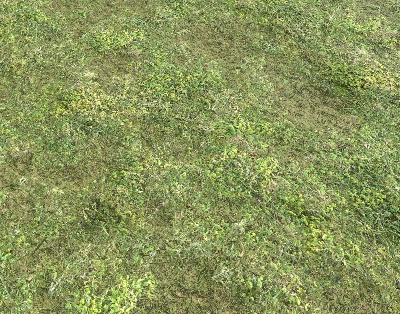 Grass terrain pack 3 Texture_16