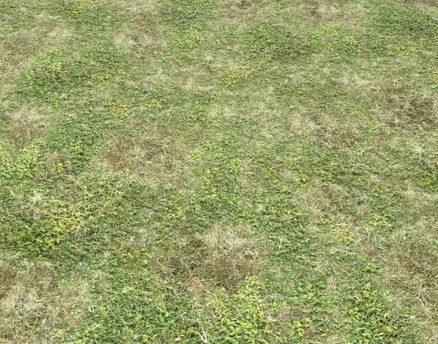 Grass terrain pack 3 Texture_6