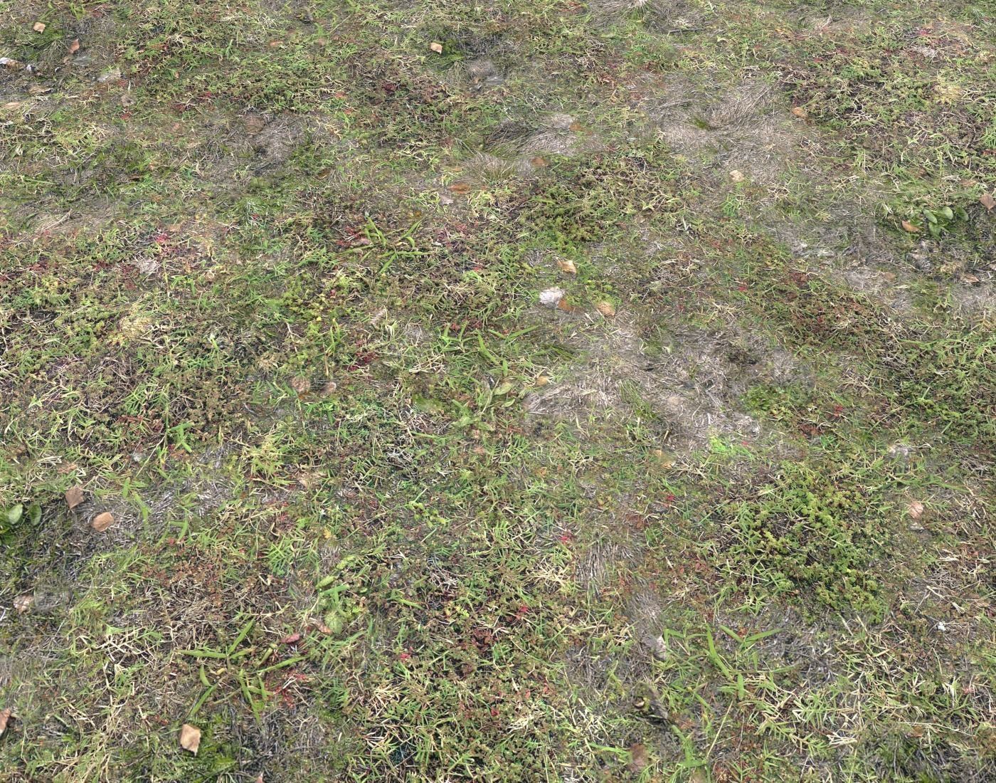 Grass terrain pack 4 Texture_6