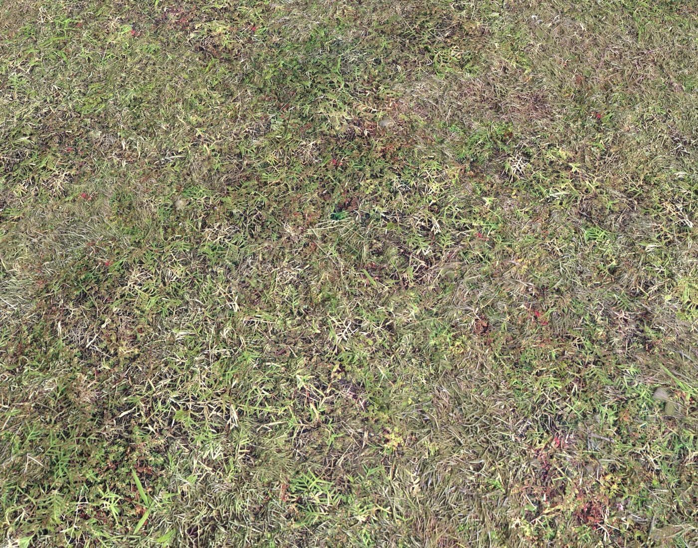Grass terrain pack 4 Texture_14