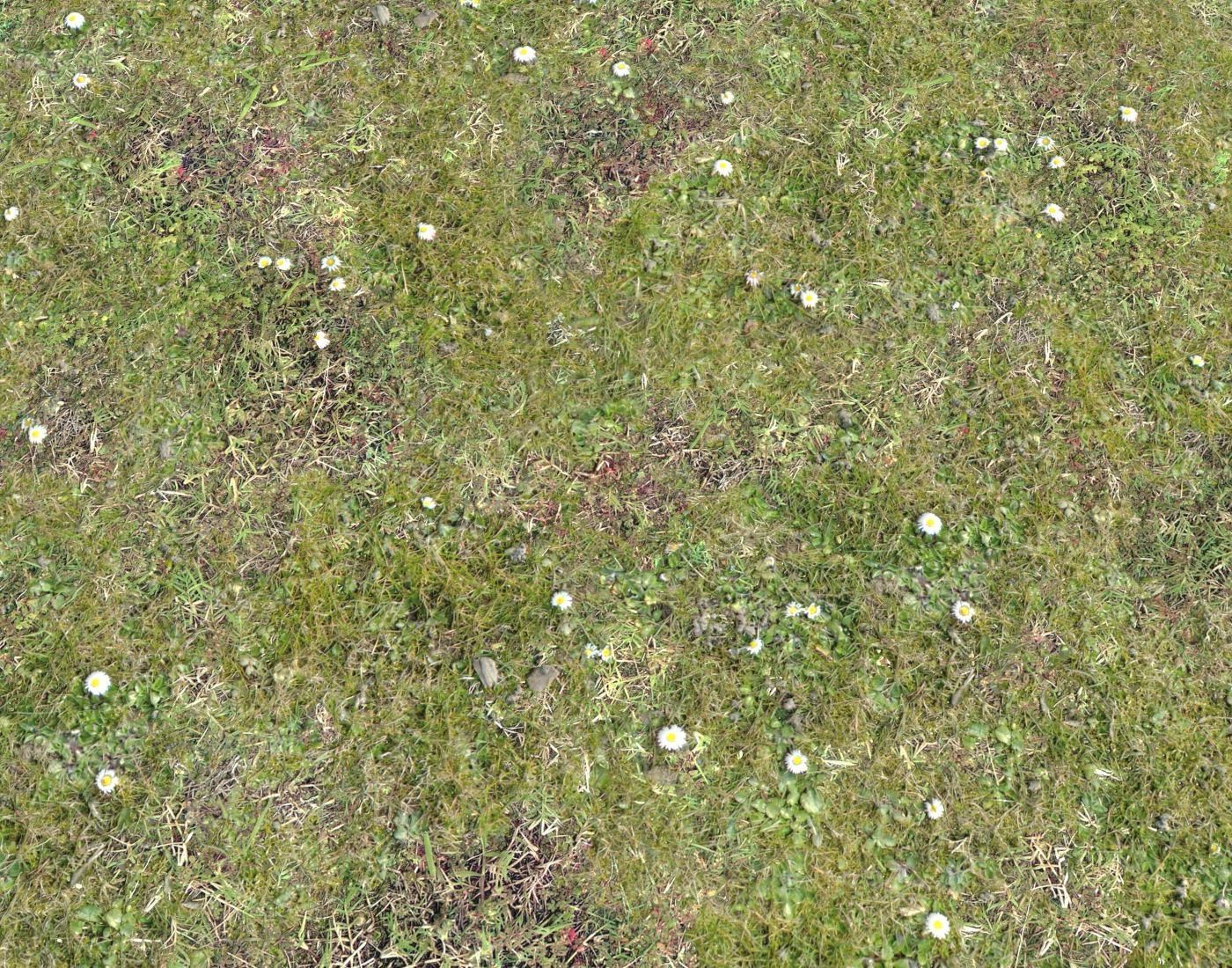 Grass terrain pack 4 Texture_9
