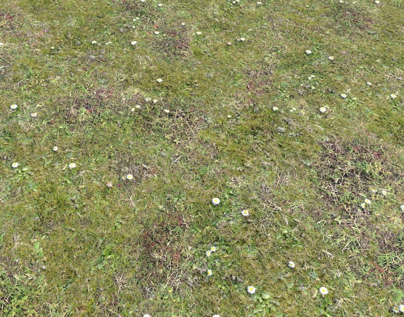 Grass terrain pack 4 Texture_10