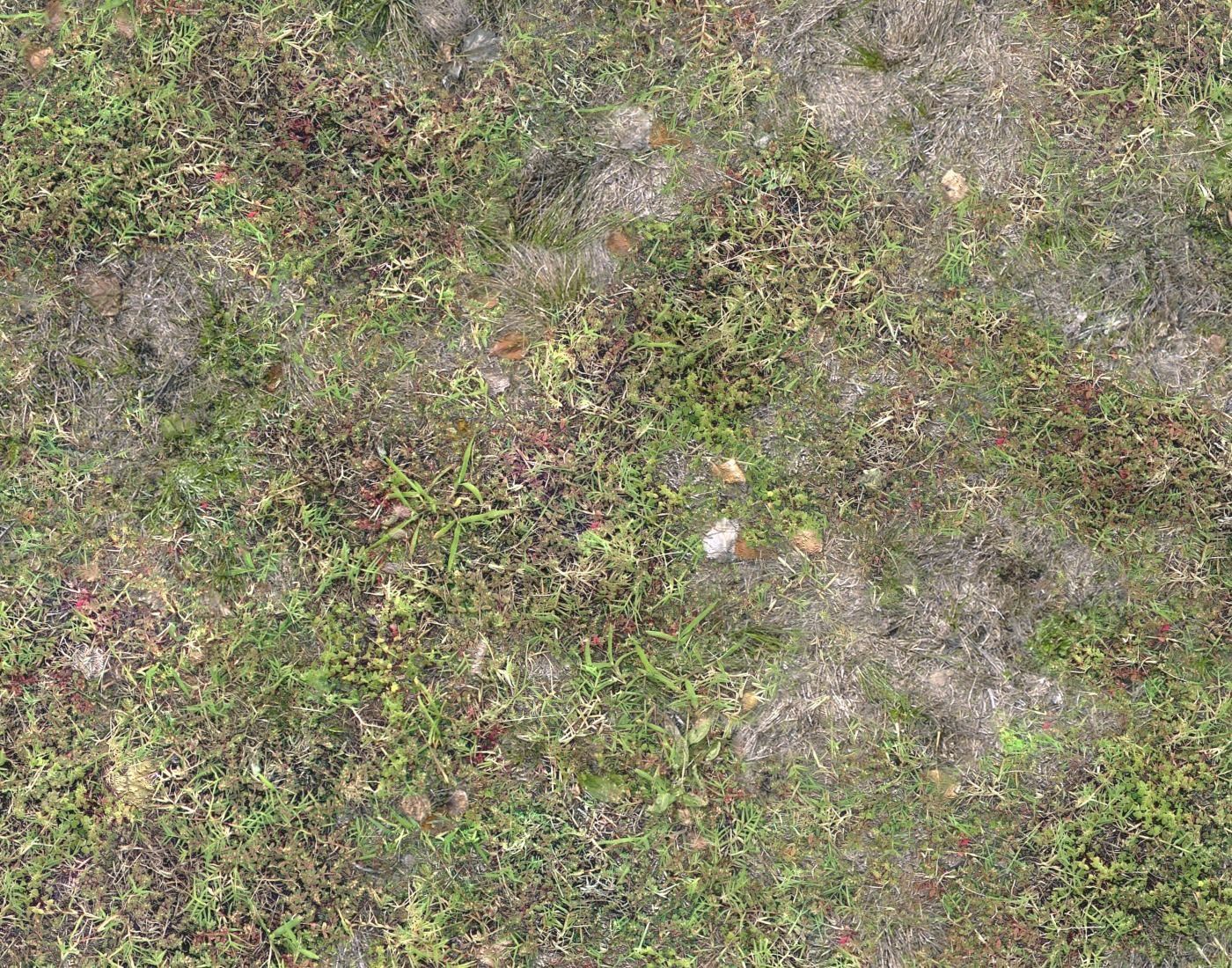 Grass terrain pack 4 Texture_5