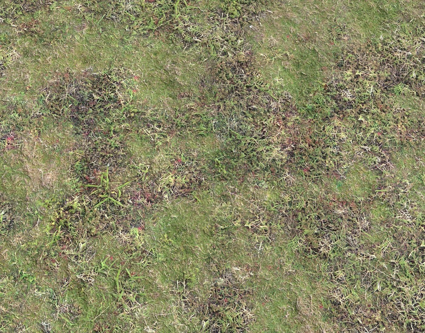 Grass terrain pack 4 Texture_11