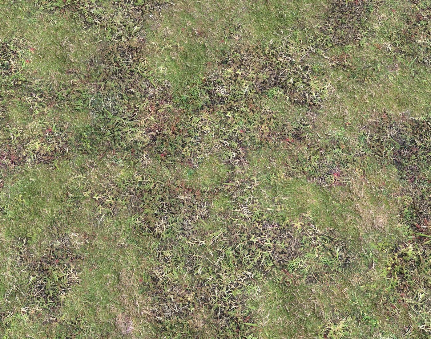 Grass terrain pack 4 Texture_12