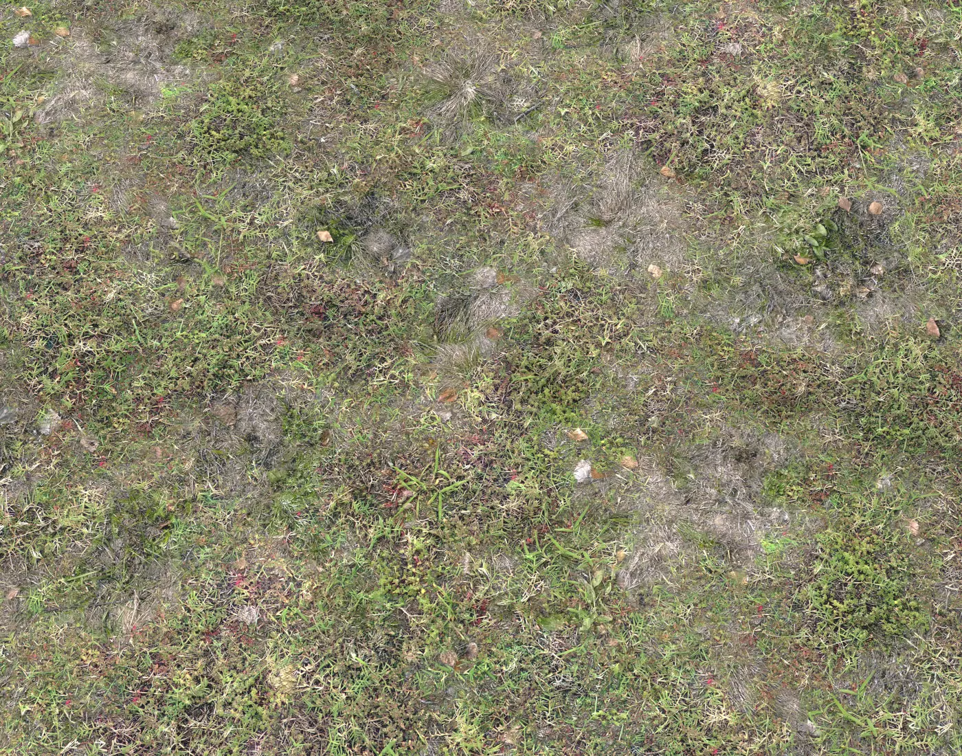 Grass terrain pack 4 Texture_0