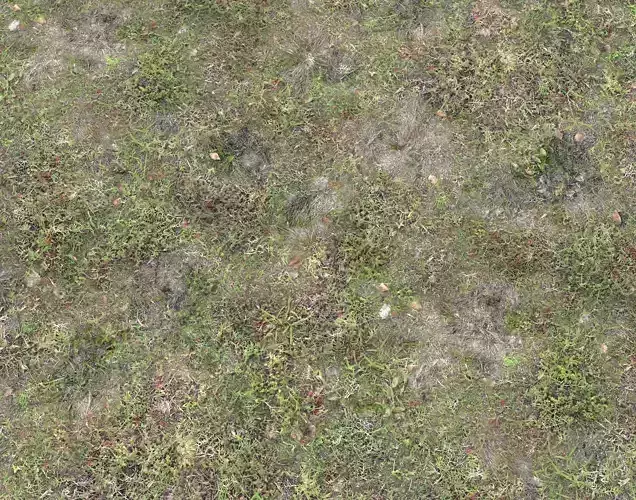 Grass terrain pack 4 Texture Grass terrain pack 4 Texture