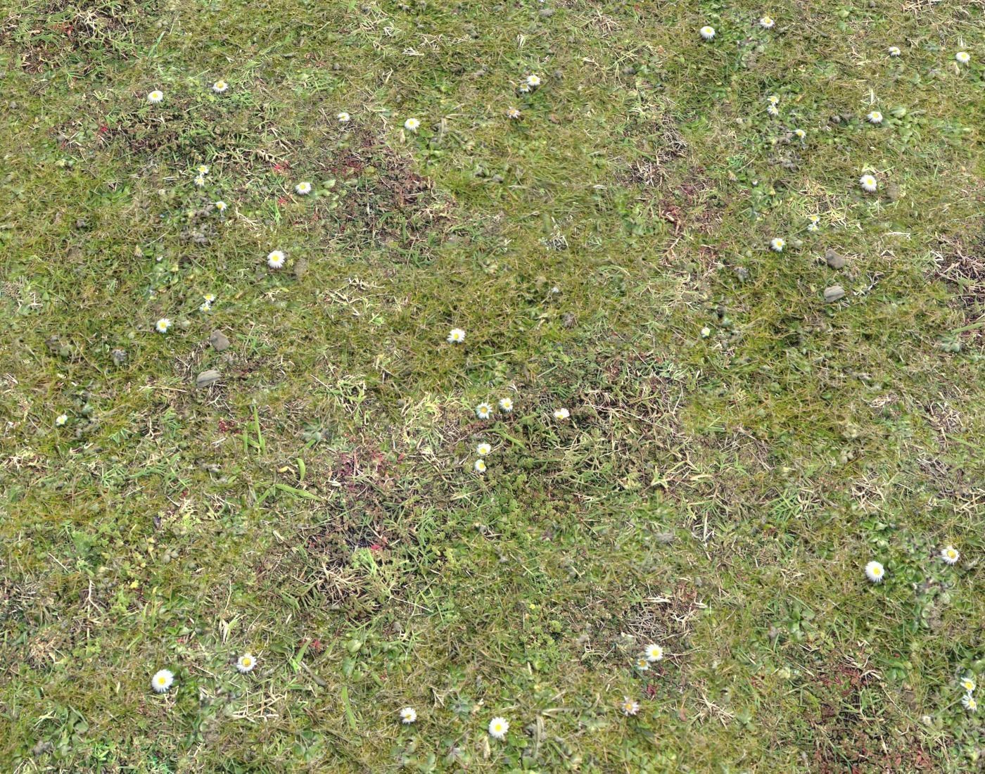 Grass terrain pack 4 Texture_8