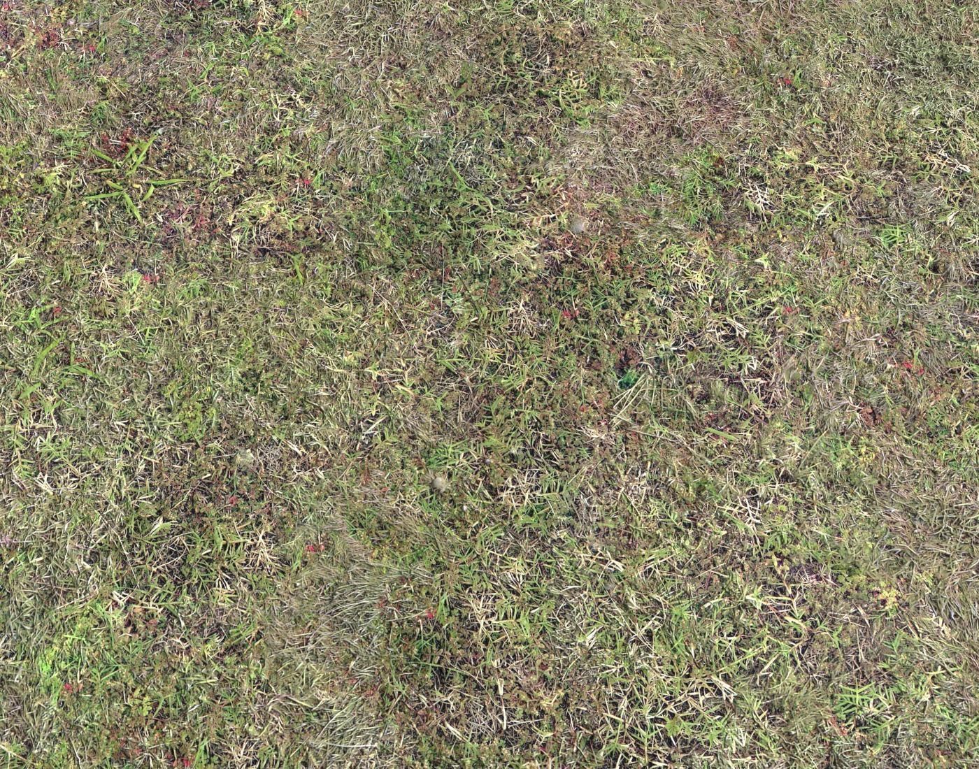 Grass terrain pack 4 Texture_13