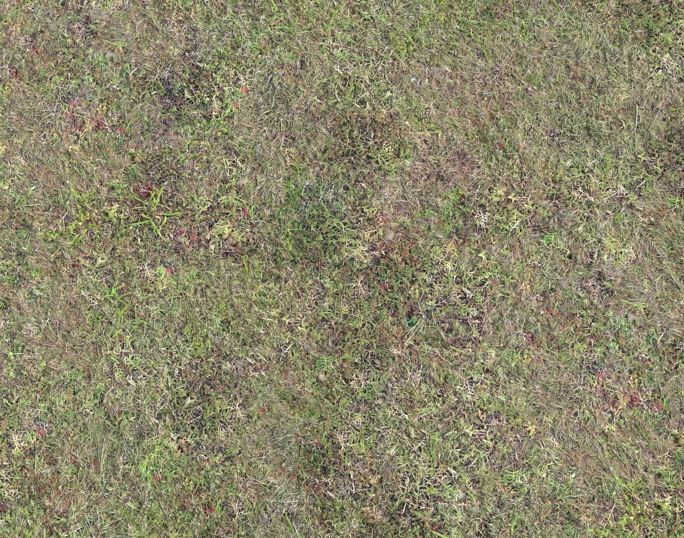 Grass terrain pack 4 Texture_15
