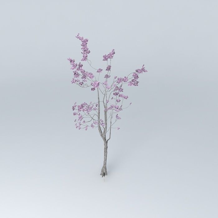 Oak Tree 3D Pink Pink Oak Tree 3D Free 3D model_2