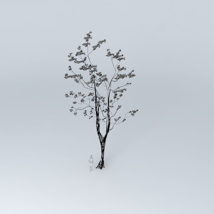 Oak Tree 3D Pink Pink Oak Tree 3D Free 3D model_4