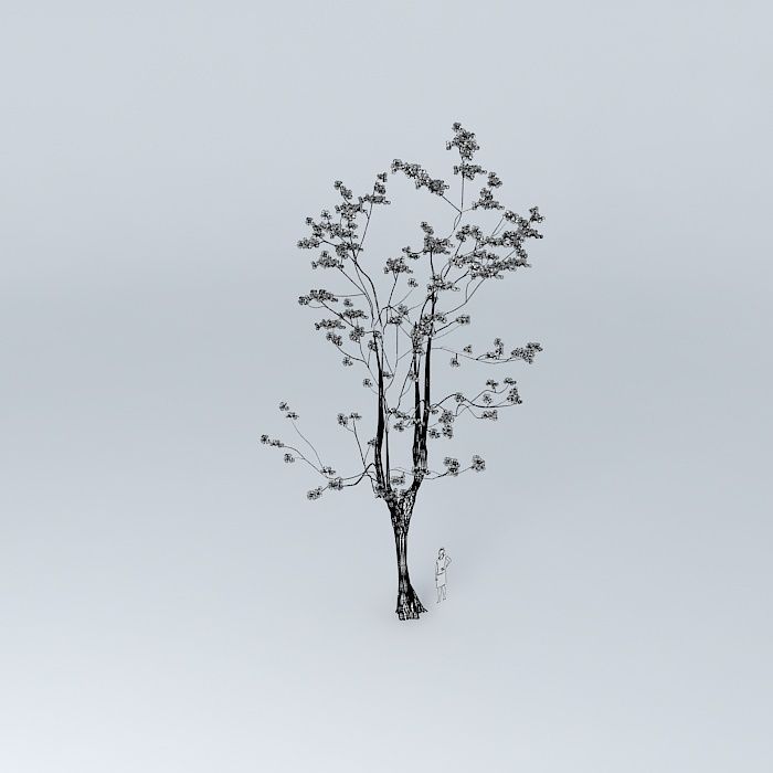 Oak Tree 3D Pink Pink Oak Tree 3D Free 3D model_3