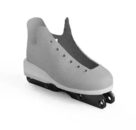 Harleys HG Soul Plate for Various Razors Inline Skates 3D print model