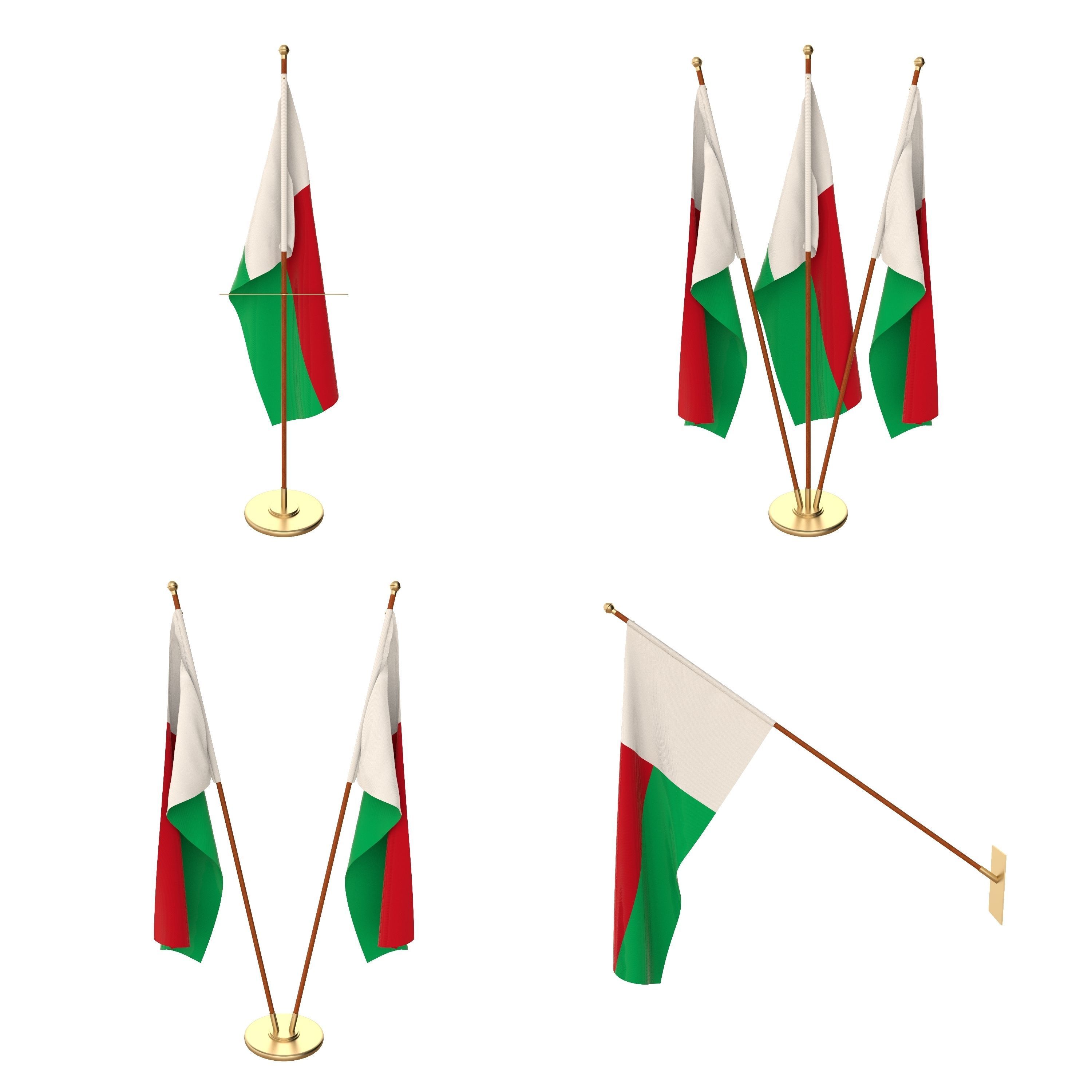 Madagascar Flag Pack 3D model_1