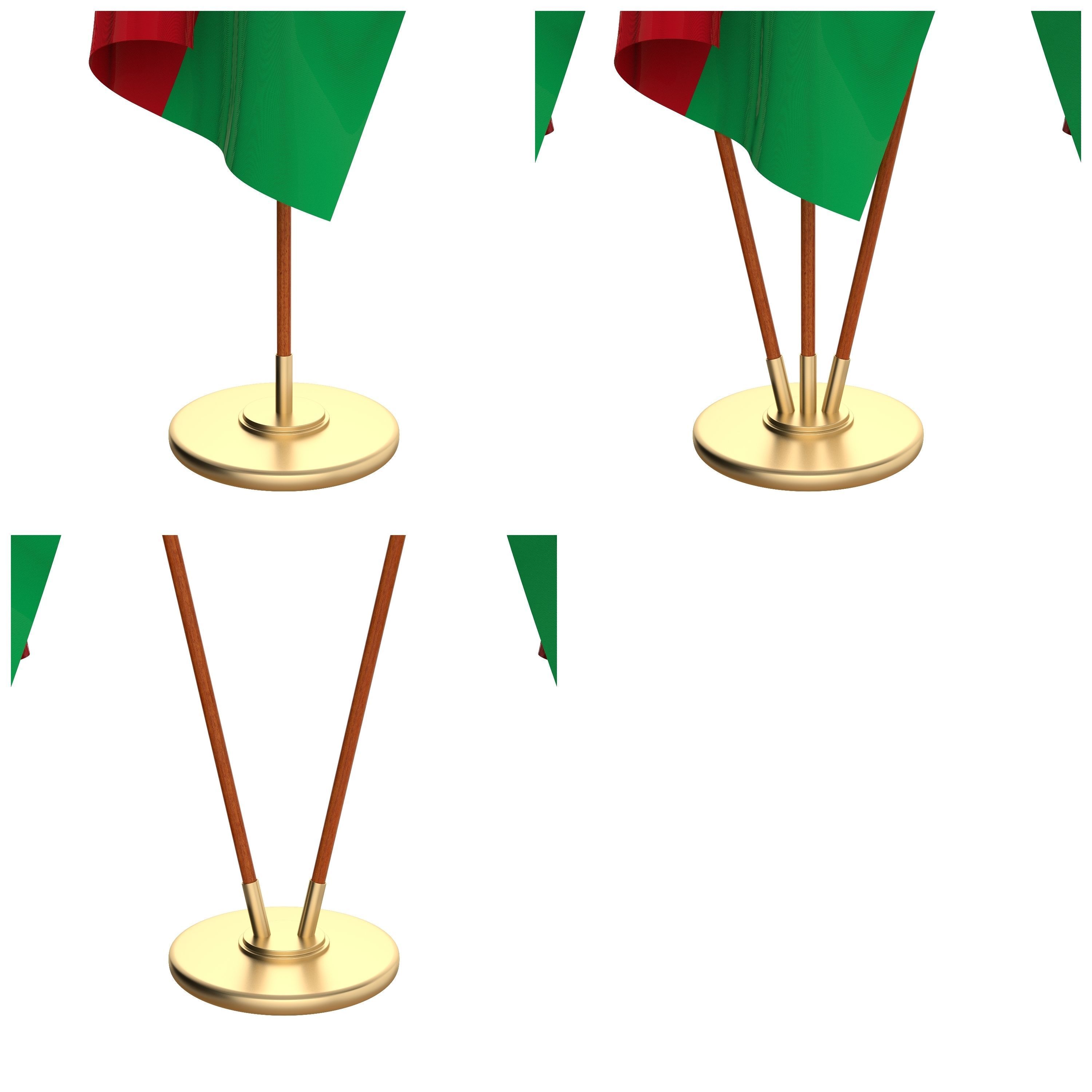Madagascar Flag Pack 3D model_2
