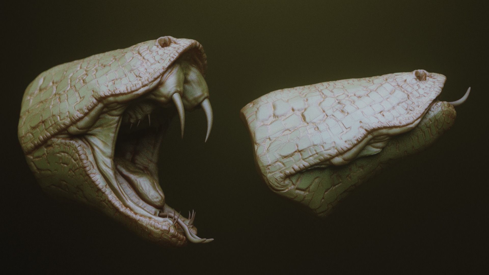 JAWS 2 - Another 33 Monster Mouths and Skulls IMM Brush and OBJs 3D model_27