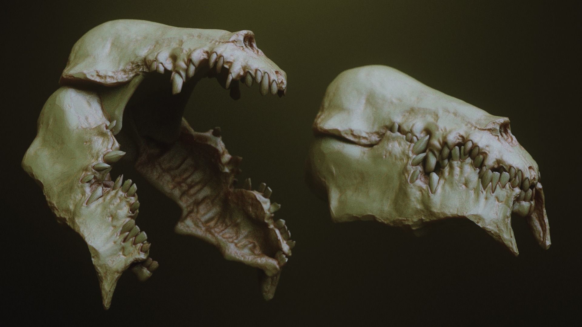 JAWS 2 - Another 33 Monster Mouths and Skulls IMM Brush and OBJs 3D model_12