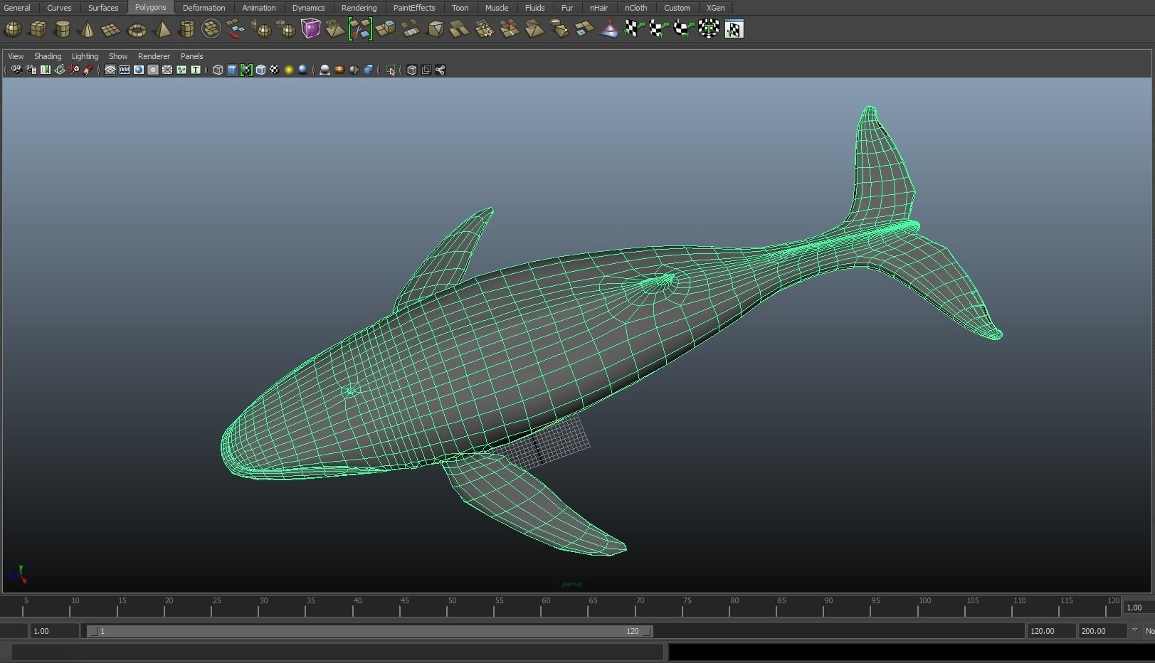 Blue Whale  Low-poly 3D model_22