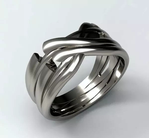 Knot ring 1 3D print model_0