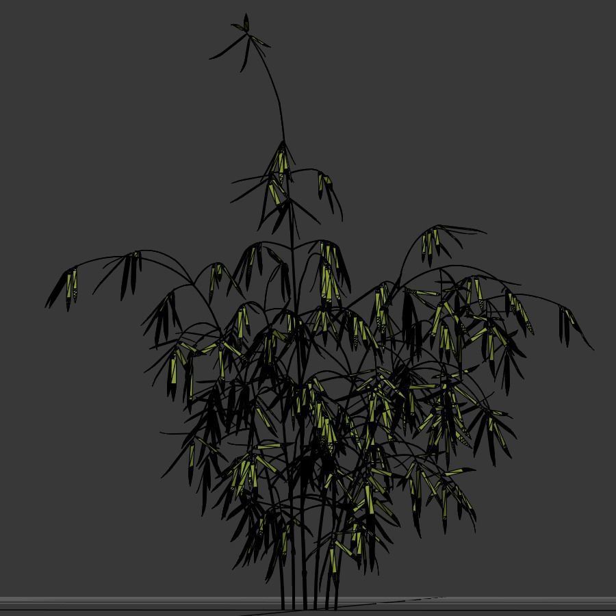 Bamboo plant 3D model_6