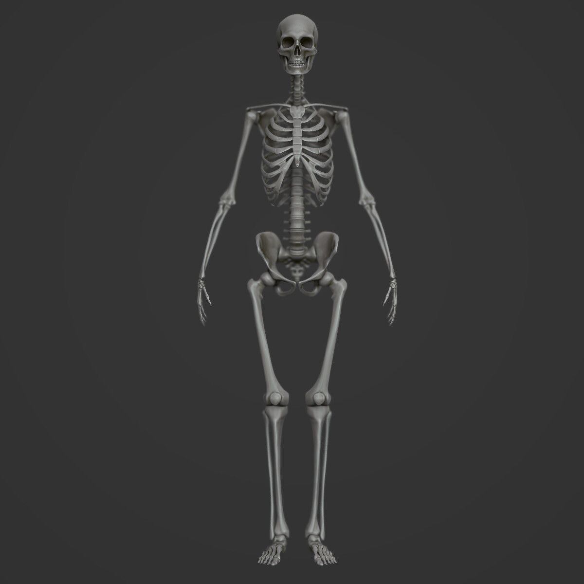 Full body muscle and skeleton anatomy 3D model_3