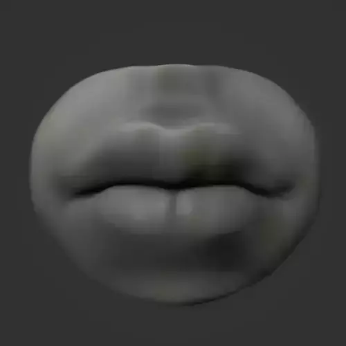 Mouth lips 3D model