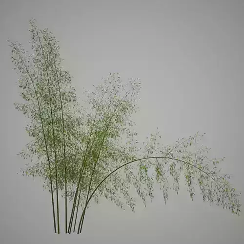 Bamboo plant 3D model