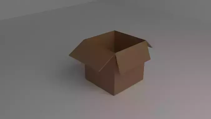 Simple Cardboard Box