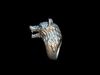 Wolf ring 3D print model_1