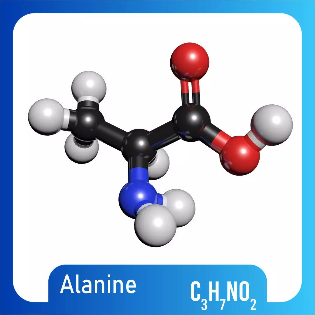 Alanine 3D Model C3H7NO2 3D model