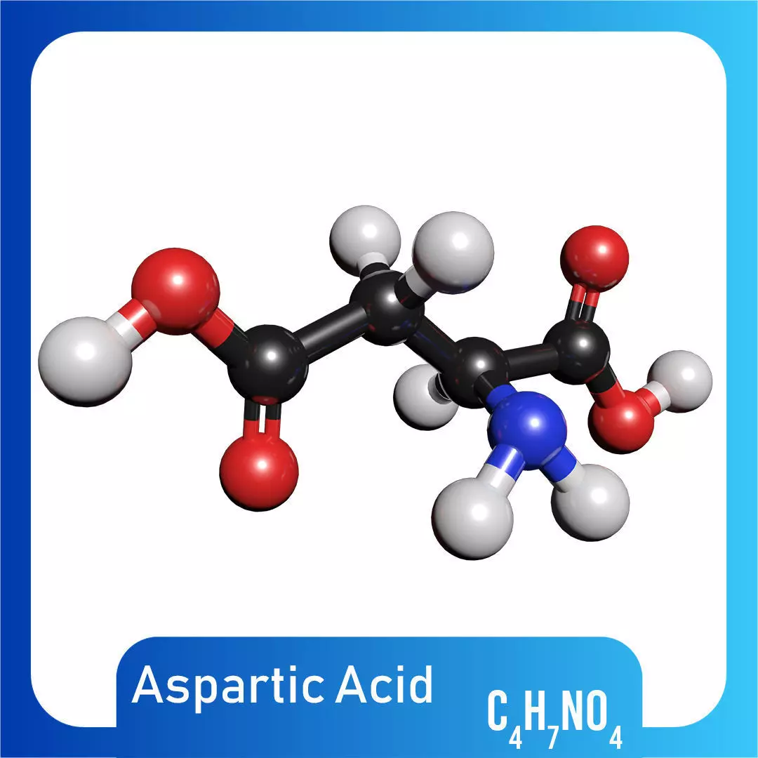 Aspartic acid 3D Model C4H7NO4 3D model_0