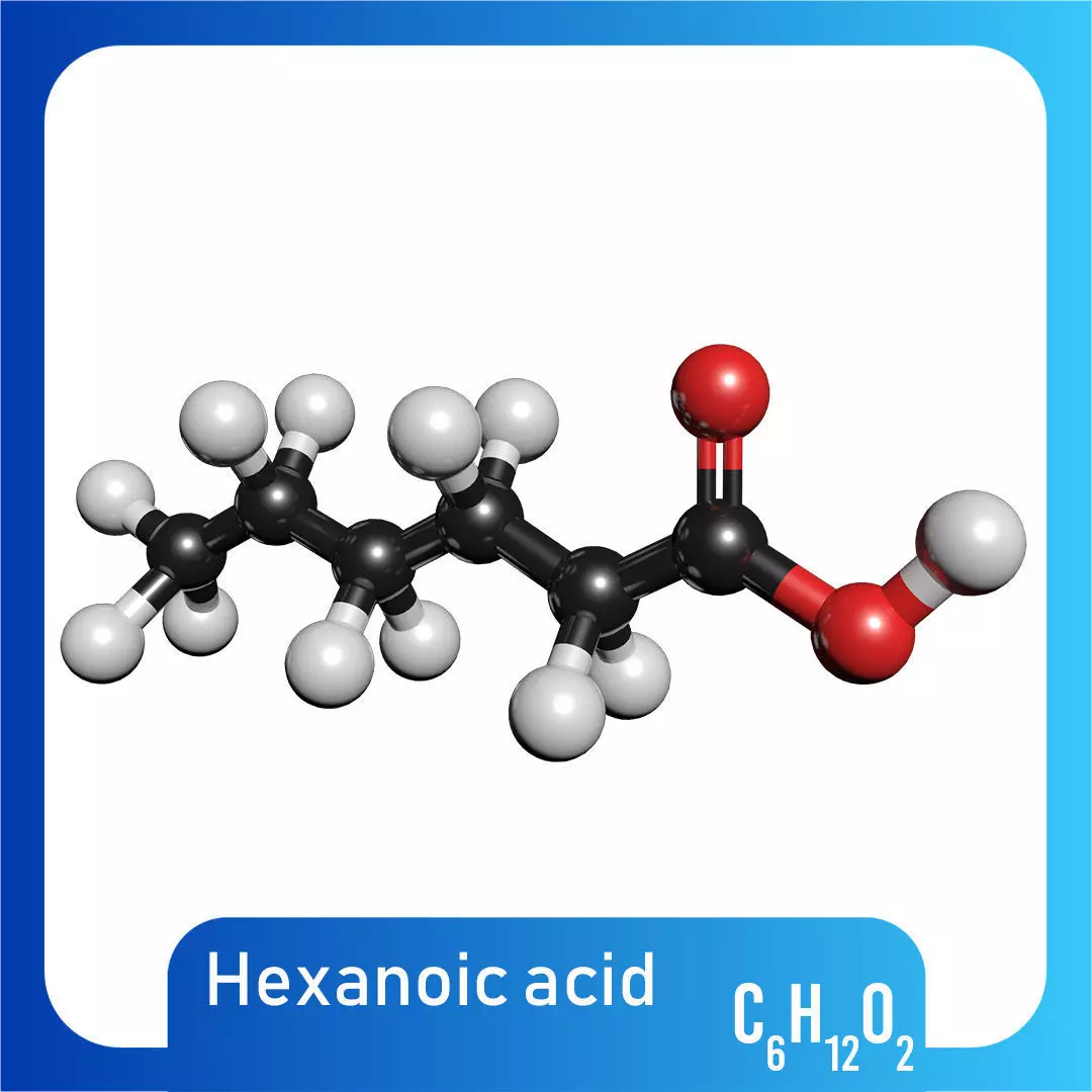 Caproic acid 3D Model Hexanoic acid C6H12O2  3D model_0