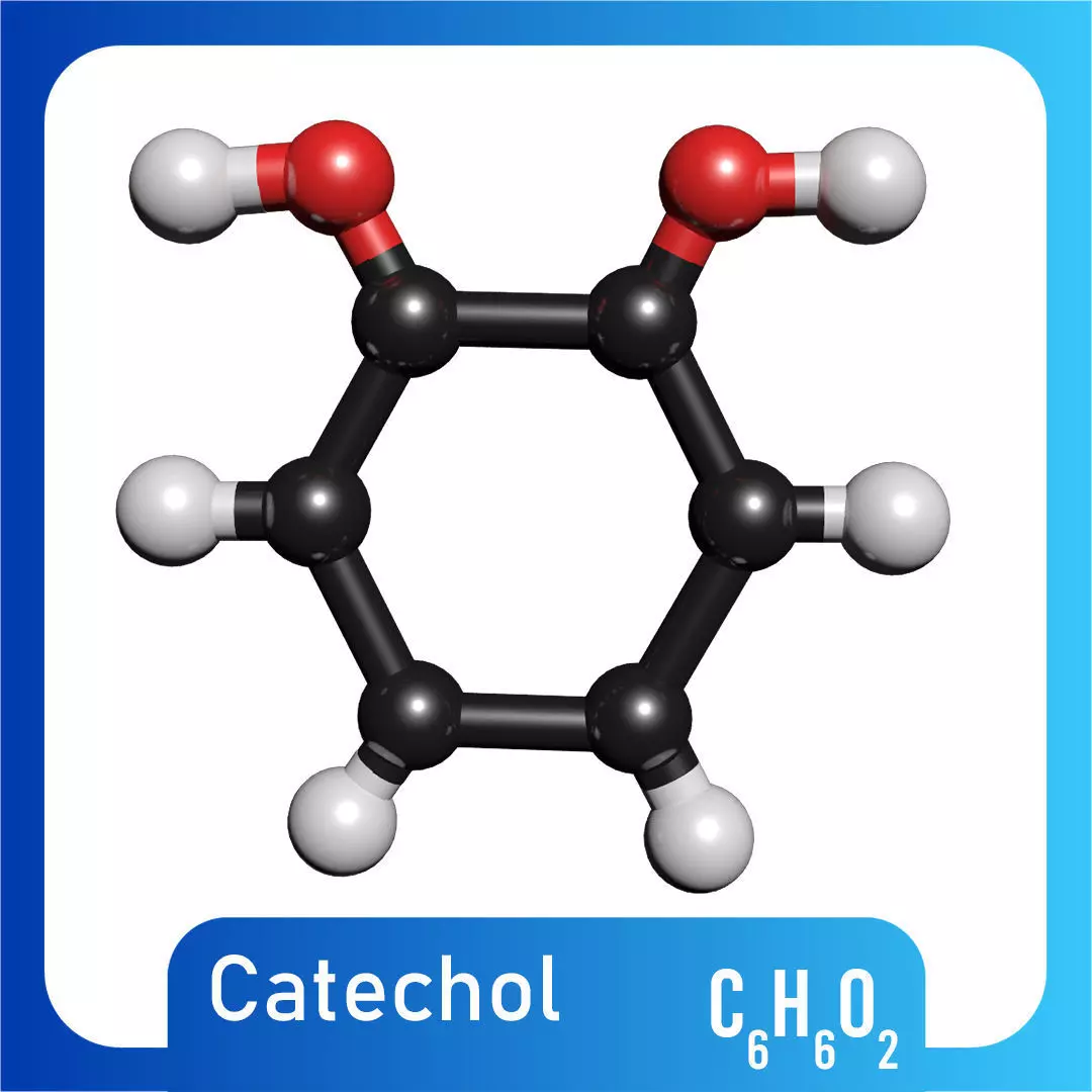 Catechol 3D Model C6H6O2 3D model_0