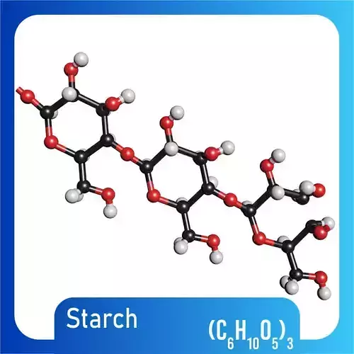 Starch Chain 3D Model C6H10O5 3 3D model